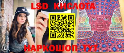 скорость Дубна