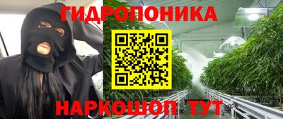 наркотики Заводоуковск
