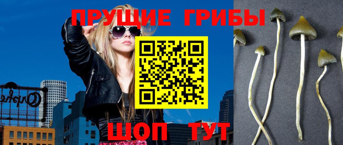Галлюциногенные грибы ЛСД Ишим