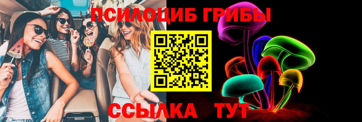Галлюциногенные грибы GOLDEN TEACHER  Вход с VPN  Галлюциногенные грибы мицелий  Ишим 